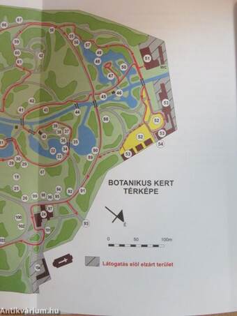 Botanikus kert