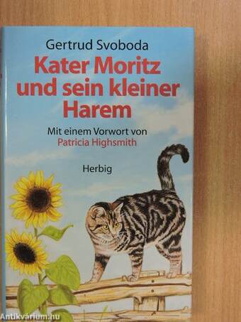 Kater Moritz und sein kleiner Harem