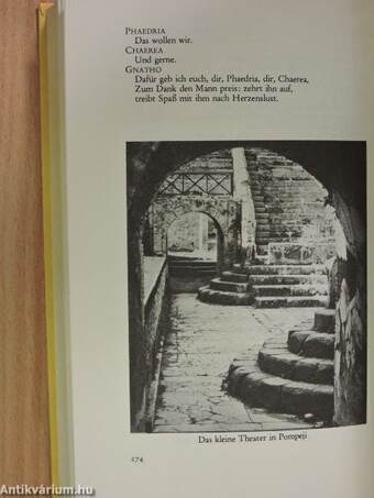 Griechischer Hellenismus und römische Republik von Menander bis Cicero