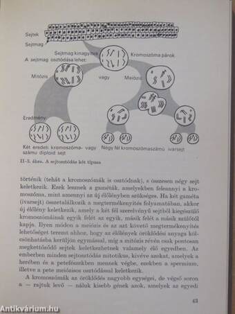 Az élet története