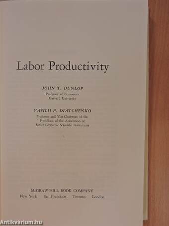 Labor Productivity