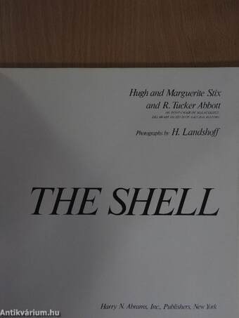 The Shell