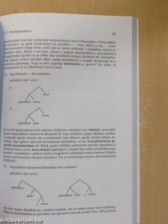 Bevezetés a nyelvtudományba