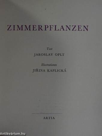 Zimmerpflanzen