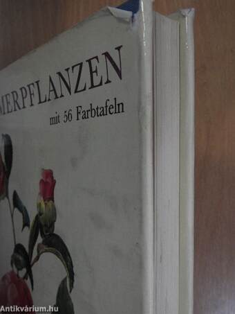 Zimmerpflanzen