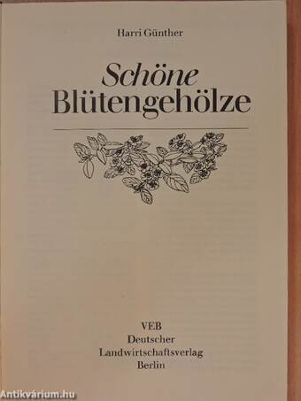 Schöne Blütengehölze