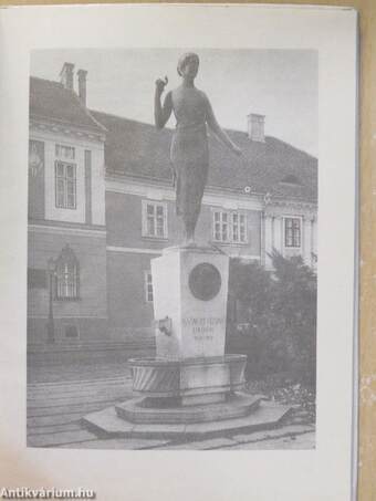 The Sculptures in Buda's Castle District