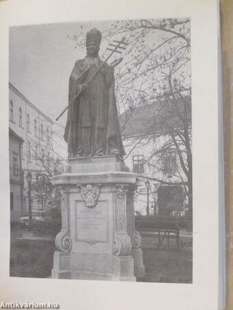 The Sculptures in Buda's Castle District