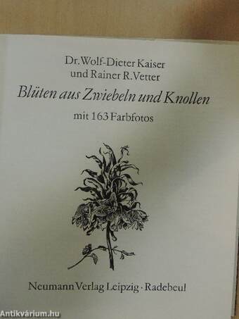 Blüten aus Zwiebeln und Knollen