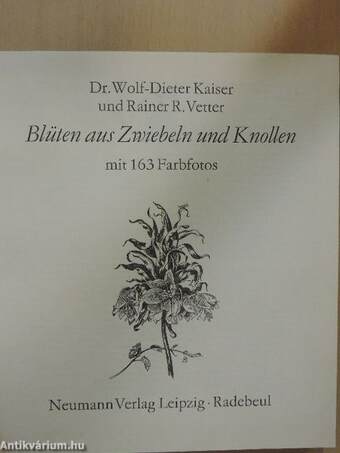 Blüten aus Zwiebeln und Knollen