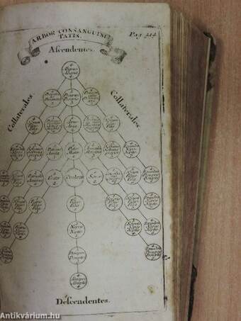 Candidatus abbreviatus jurisprudentiae sacrae, hoc est, juris canonici, secundum Gregorii papae IX. libros V. Decretalium explanati summa, seu Compendium II. (töredék)