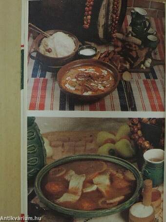 Hungarian Cookery-Book