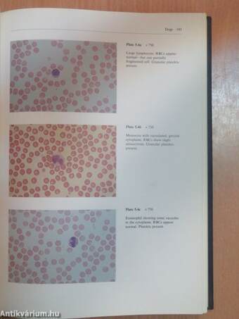 An atlas of laboratory animal haematology