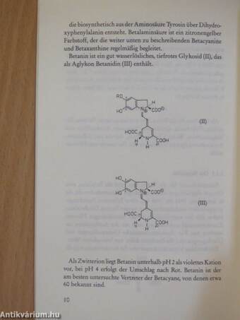 Die therapeutische Verwendung der Roten Bete