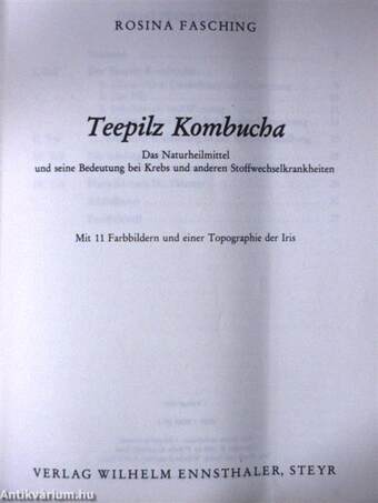 Teepilz Kombucha