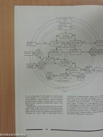 Vállalatvezetés-Vállalatszervezés 1981/1.