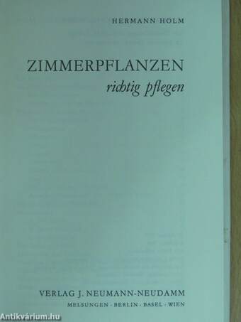 Zimmerpflanzen richtig pflegen