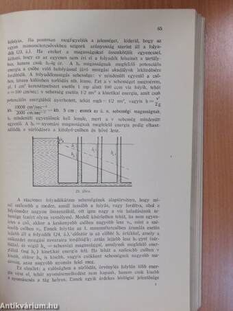 Bevezetés a biofizikába (aláírt példány)