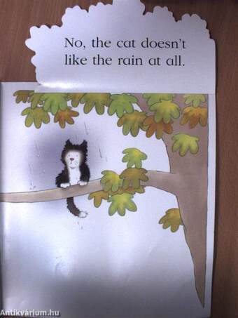 Kipper's Rainy Day