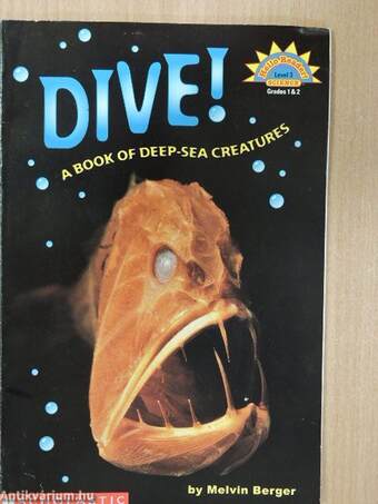 Dive!