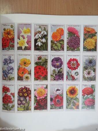 Cigarette Cards and Novelties