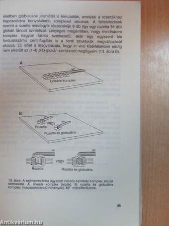 A növényi anyagcsere élettana III.