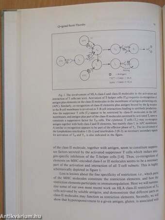 Immunobiology of HLA Class-I and Class-II Molecules