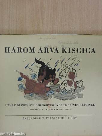 Három árva kiscica (rossz állapotú)