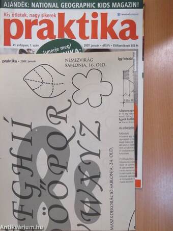 Praktika 2007. január