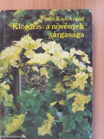 Klorózis: a növények sárgasága (dedikált példány)