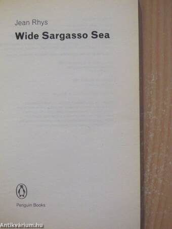 Wide Sargasso Sea