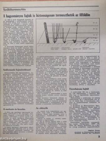 Kertészet és Szőlészet 1989. november 16.