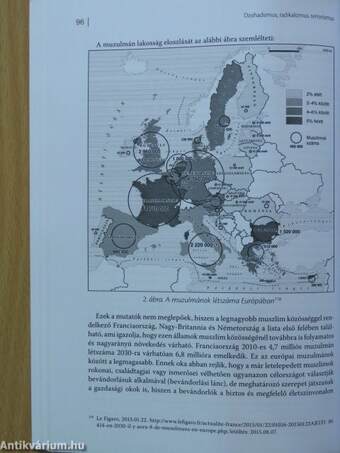 Dzsihadizmus, radikalizmus, terrorizmus