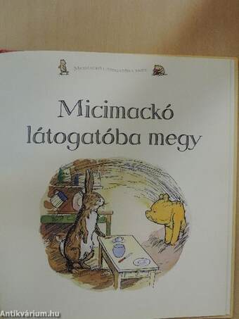 Micimackó látogatóba megy