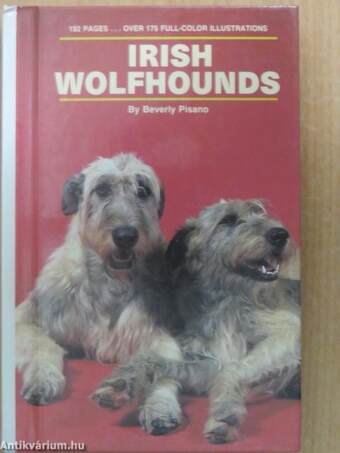 Irish Wolfhounds