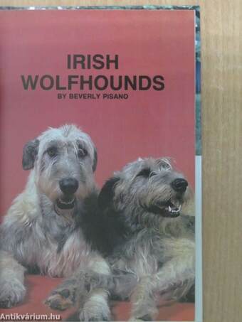 Irish Wolfhounds