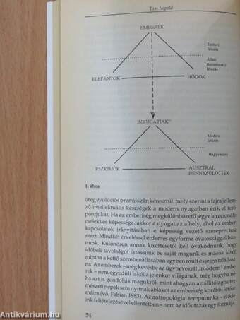 A fordítás mint kulturális praxis