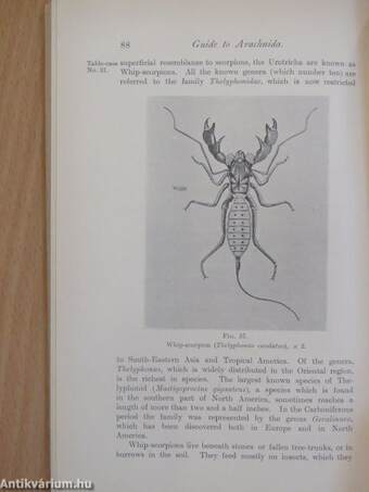 Guide to the Crustacea, Arachnida, Onychophora and Myriopoda exhibited in the department of zoology (Ifj. Dr. Entz Géza könyvtárából)