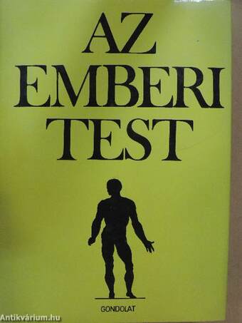 Az emberi test 2. (töredék)