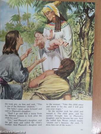 The Children's Bible in Colour