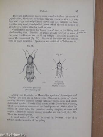 Guide to the exhibited series of insects in the department of zoology (Ifj. Dr. Entz Géza könyvtárából)