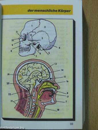 Bildwörterbuch Deutsch