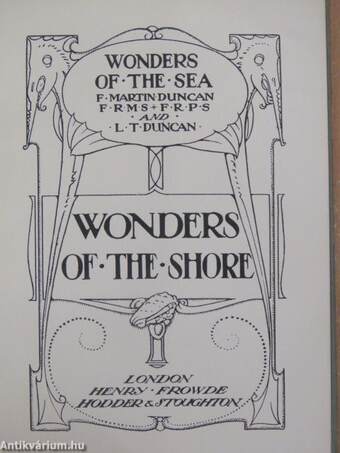 Wonders of the shore