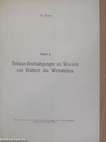 Atlas der Krankheiten und Beschädigungen unserer landwirtschaftlichen Kulturpflanzen VI.