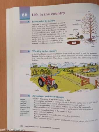 English Vocabulary in Use - Pre-intermediate & intermediate