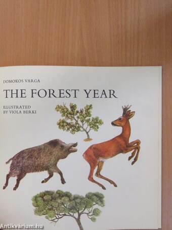 The Forest Year