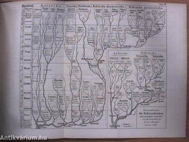 Generelle Morphologie der Organismen 1-2. 