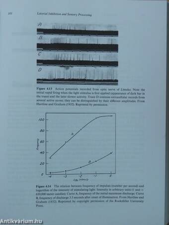 An Introduction to Neural Networks