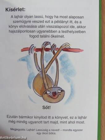 Amit a lajhárokról feltétlenül tudni kell