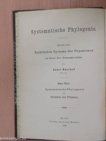 Systematische Phylogenie der Protisten und Pflanzen I.